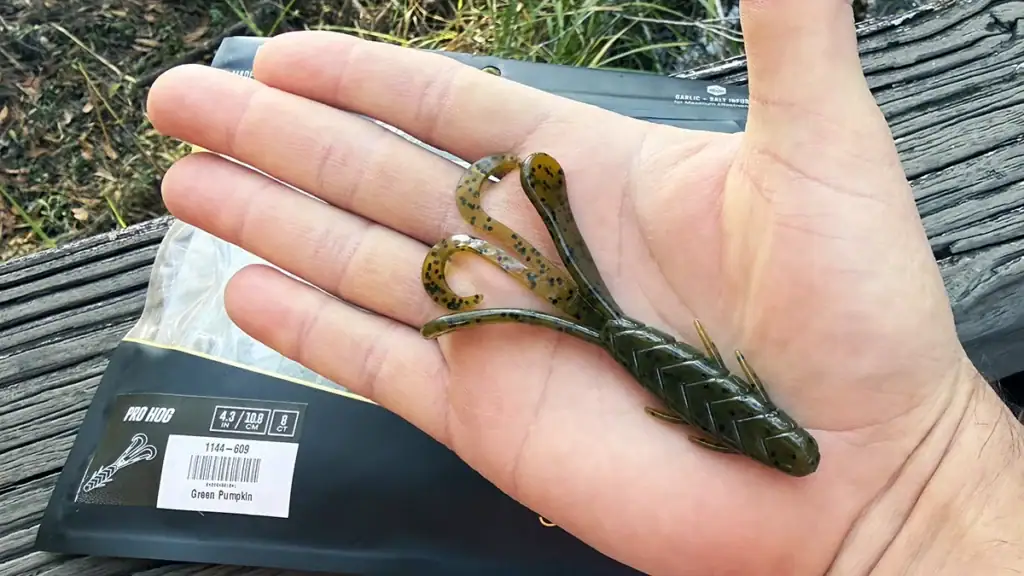 Lake Fork Pro Hog creature bait in hand