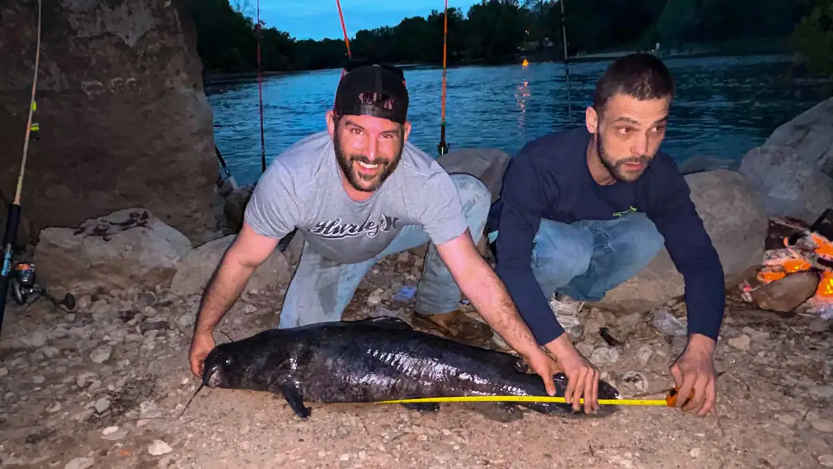Andrew Karsten gets a little help measuring the 46-inch flathead catfish he recently caught while chasing a "Michigan Monster."
