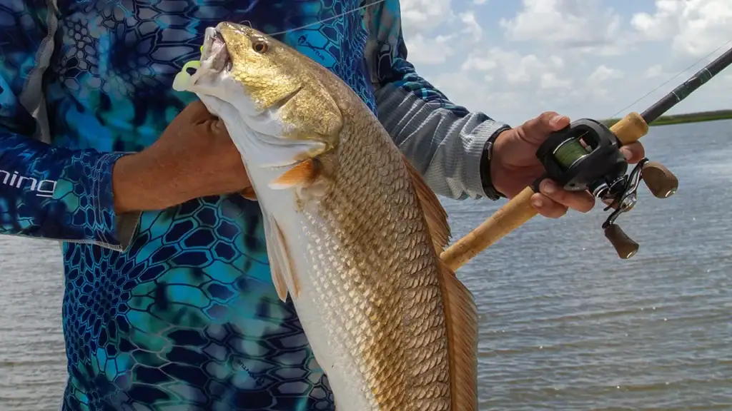 Fishing for redfish with a baitcaster
