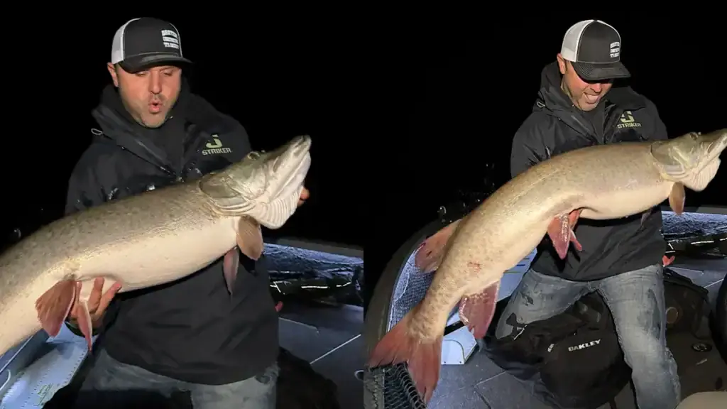 50 inch muskie
