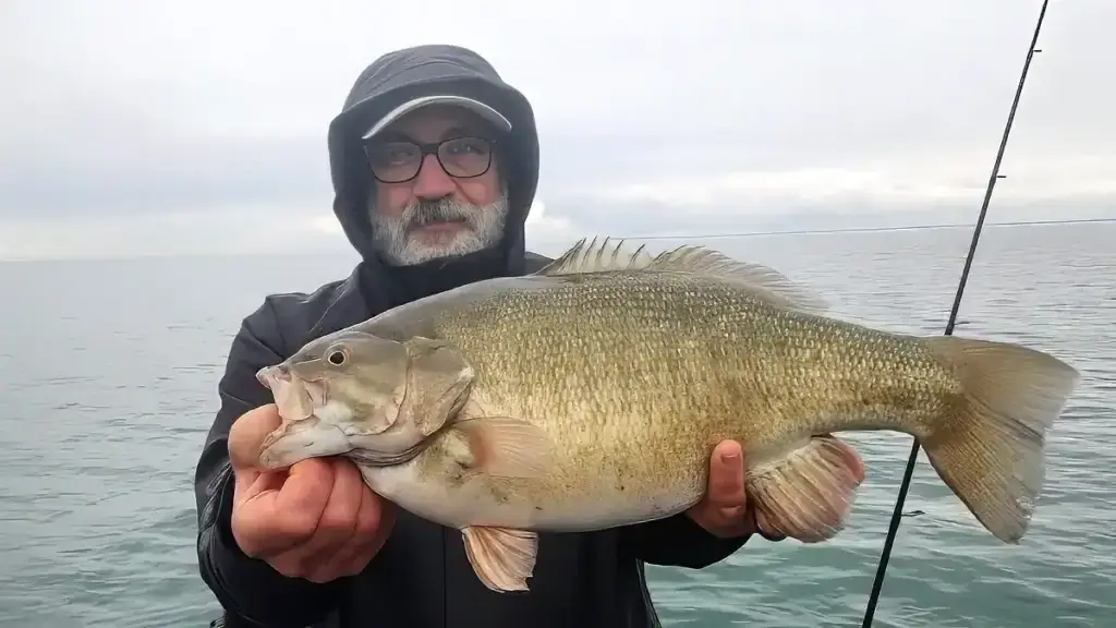 Albanese 6 pound smallmouth bass
