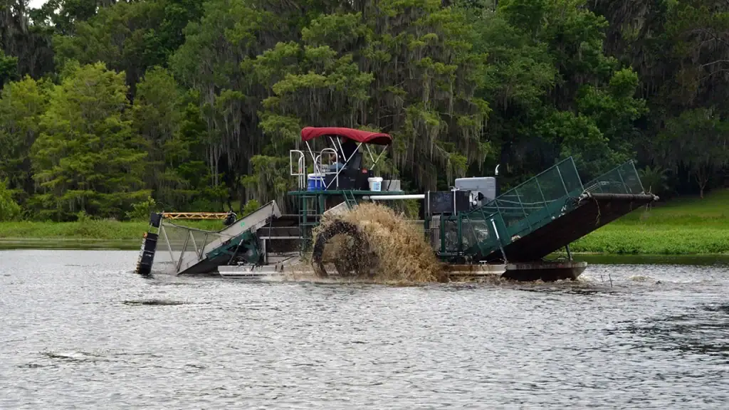 Mechanical harvesting in Florida