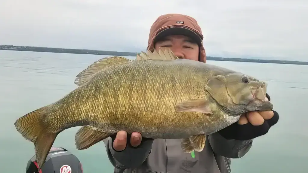 Kazutomo Nakamura and big smallmouth bass