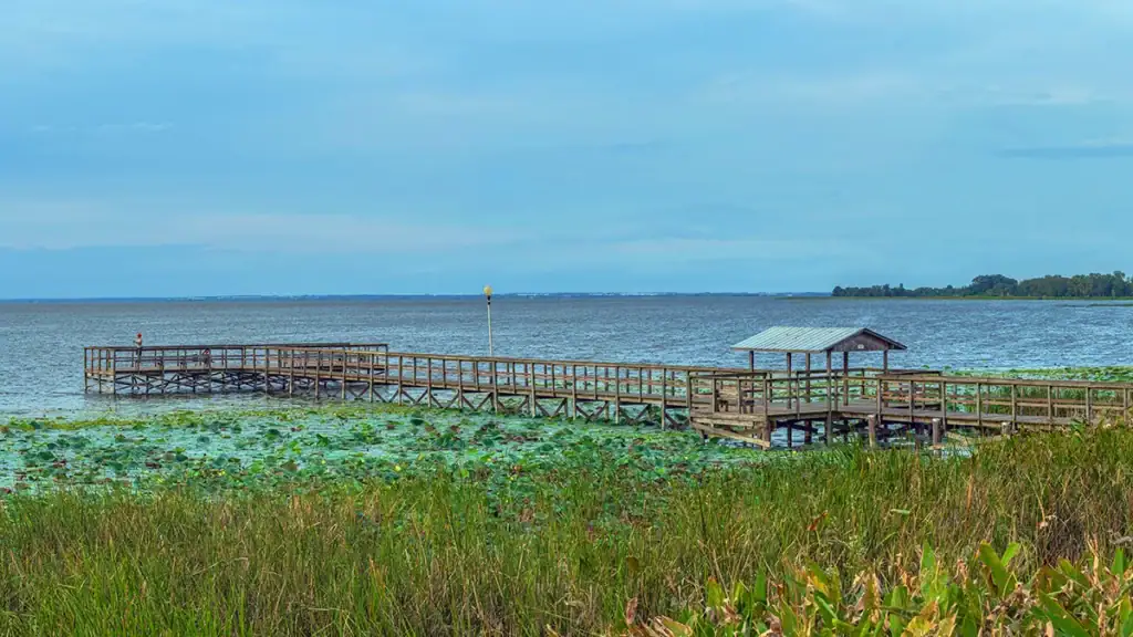 Florida's Lake Apopka