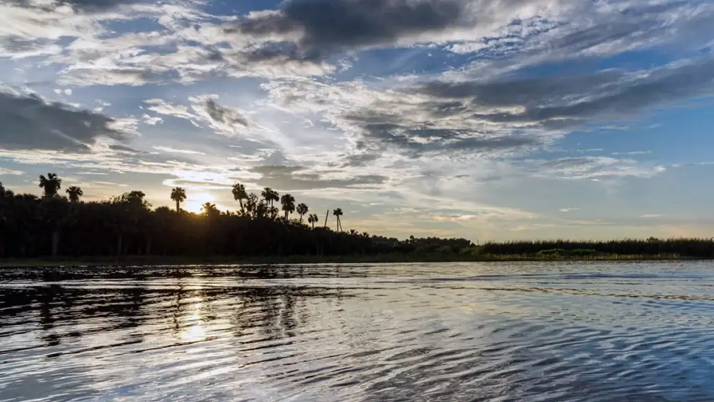 Florida's Lake Jesup