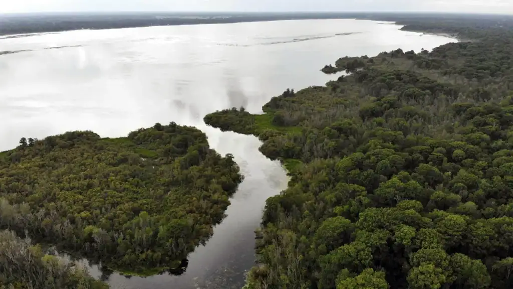 Florida's Lake Panasoffkee