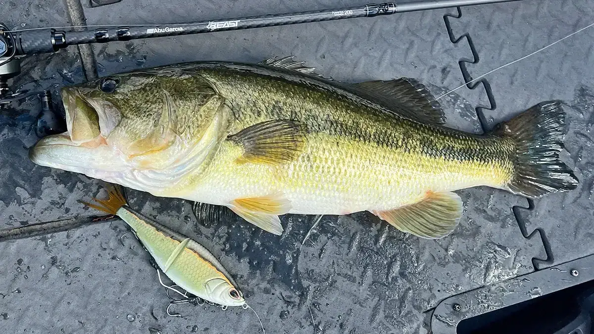 What Lures We're Throwing in September: Berkley Chop Block.