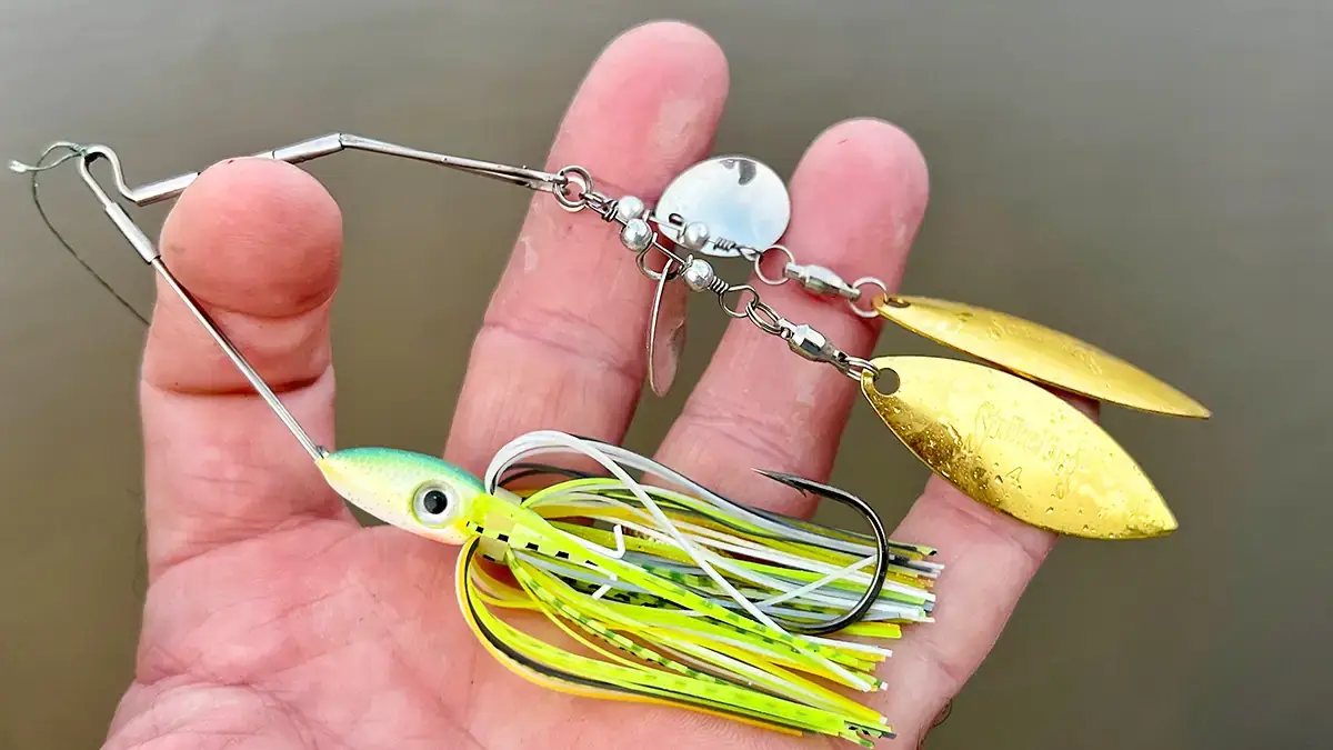 What Lures We're Throwing in September: Spinnerbait.