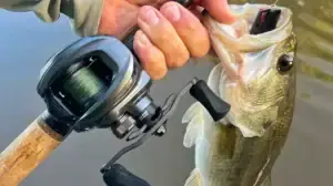 Lew’s HyperMag ITB 150 and the fish it helped catch.