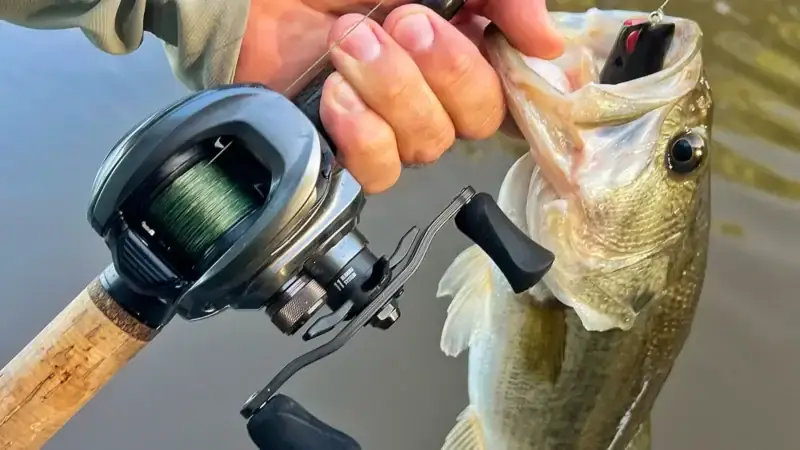 Lew’s HyperMag ITB 150 and the fish it helped catch.