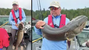 Brothers Catch and Release a Thick-Body, 51.5-Inch Muskie in Well-Known Lake