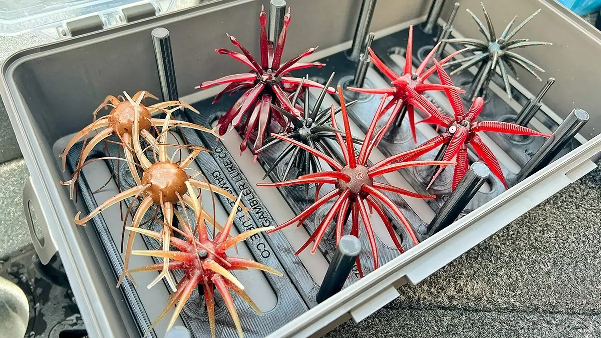 It's important to avoid mixing soft plastics and TPE materials, but you should suspend your urchin baits when storing them.