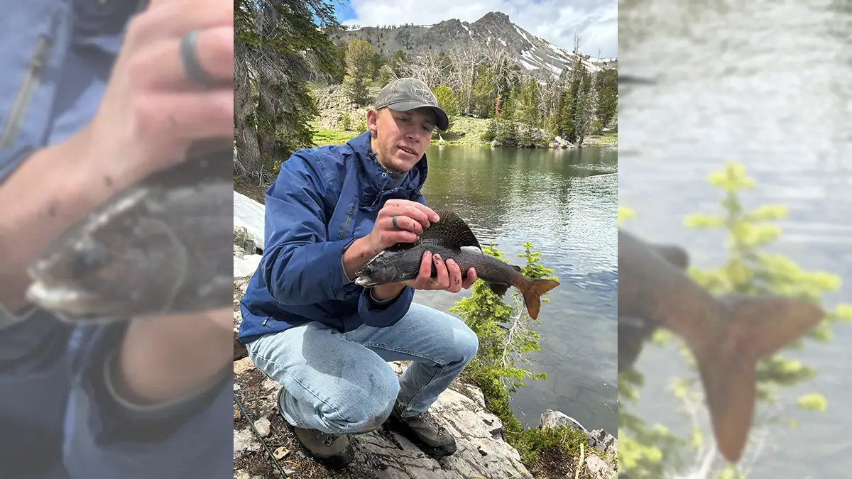 College student Wade Jensen caught his state-record Arctic grayling June 20 in Idaho's Fishpole Lake.
