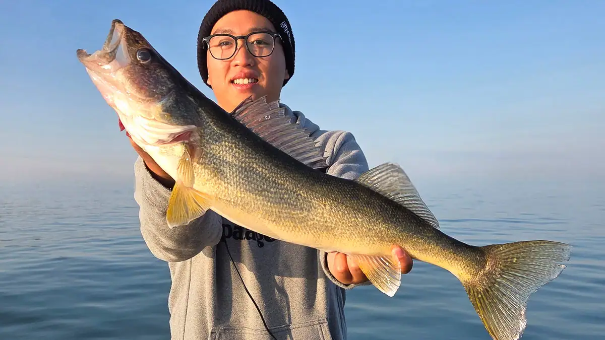 An angler shows off a walleye.