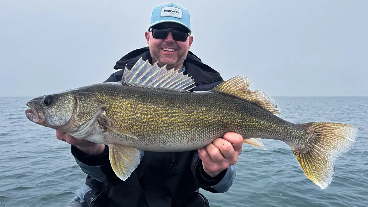 There are plenty of technological tools anglers can use to land an impressive walleye.
