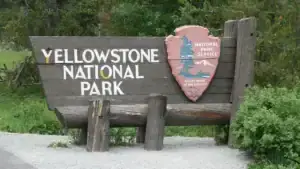Stream In Yellowstone National Park Closed As Officials Poison Invasive Fish