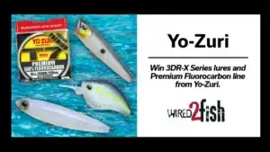 Yo-Zuri is partnering with Wired2fish to give away its 3DR-X Series lures in new matte-finish colors and a 200-yard spool of 14-pound T7 Premium Fluorocarbon.