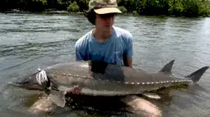 Fishing for Striped Bass, He Caught a Prehistoric Dinosaur