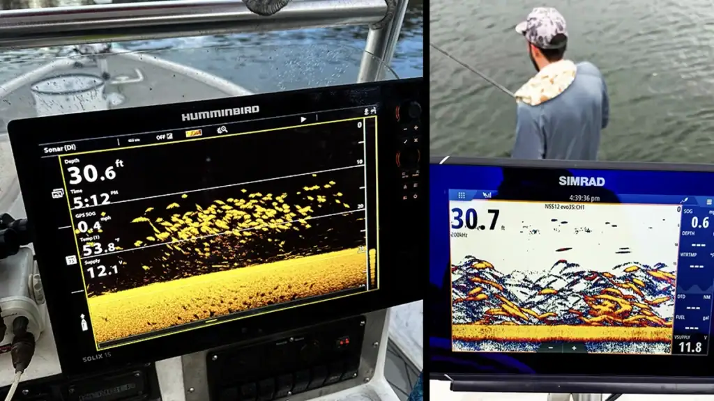Some of the electronics used in finding Lake Lanier's stripers.