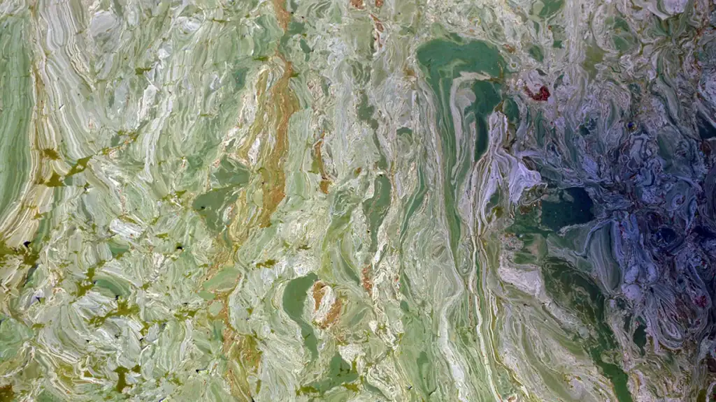Florida blue-green algae bloom