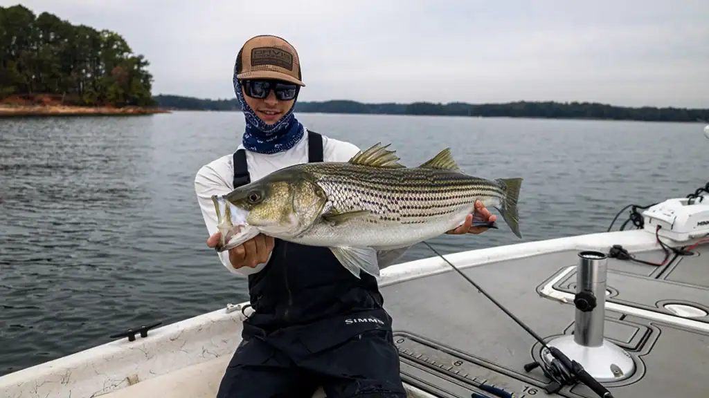 An angler holds up the striper he caught in the freshwater of Lake Lanier.
