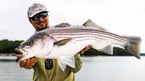 Showing off a freshwater striper caught in Georgia's Lake Lanier.