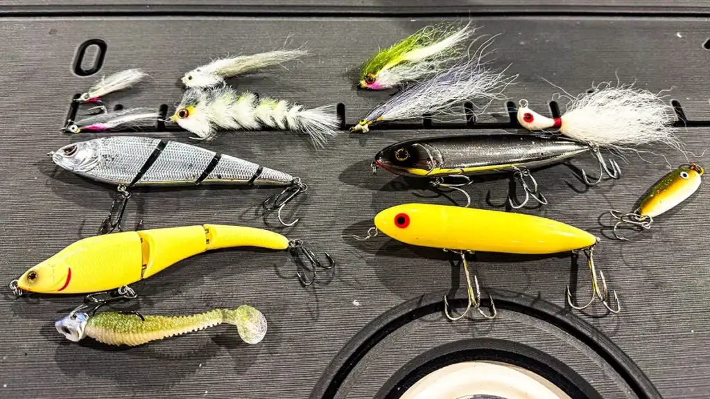 Lures used to catch Georgia freshwater stripers.