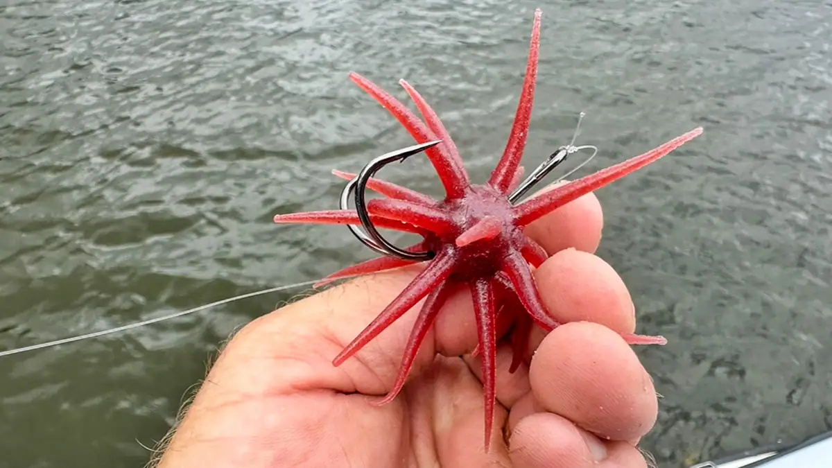 An urchin bait with a hook.