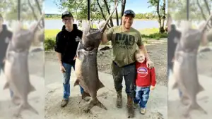 Montana Angler Catches Massive Paddlefish 22 Years After It Was Tagged in North Dakota