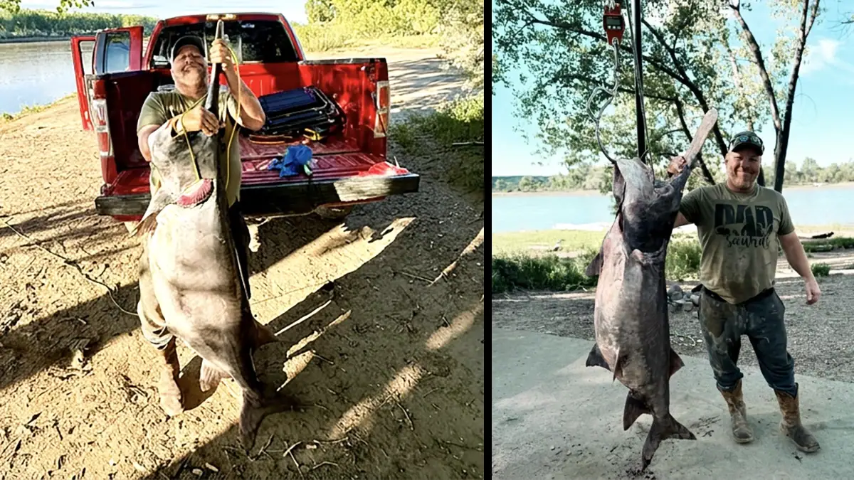Two images of Trevor Swisse and the giant paddlefish he recently caught.