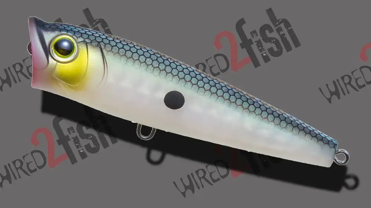 Yo-Zuri's 3DR-X Popper in Matte Green Gizzard Shad.