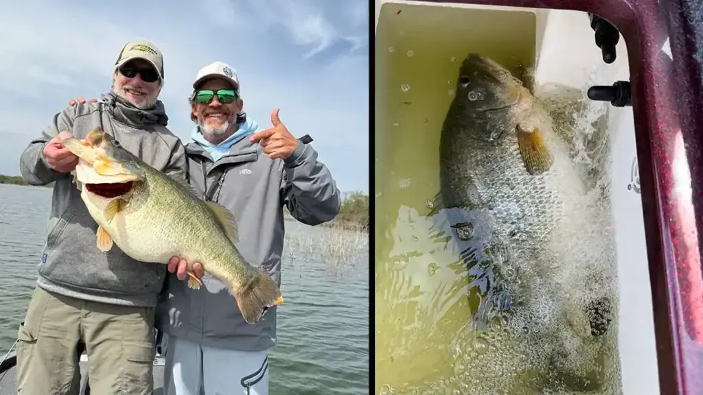 15 pound largemouth bass