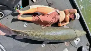 Crappie Guide And Tourney Pro Uses Forward-Facing Sonar To Target 200-Pound Dinosaurs