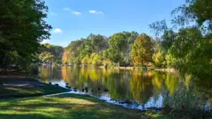 Fishing Banned In NYC Pond Due To Sewage