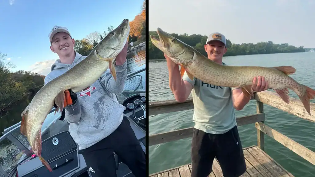 Jake Cheeseman and brace of muskies