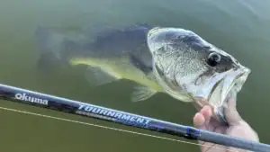 In-Depth Review: Is Okuma’s Tournament Concept Bass B Series Worth It?