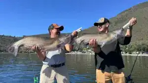 This Lake, Better Known For Giant Bass, Is Red Hot For Big Channel Catfish Right Now