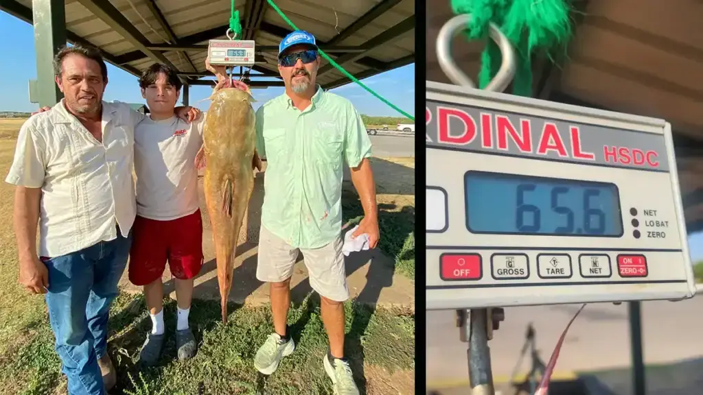 lake record flathead