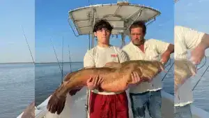 Giant Flathead Catfish Caught By 15-Year-Old Angler Shatters 17-Year-Old Record